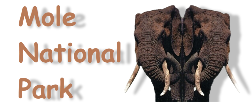 Ghana0.com - Remo Kurka personal Travel blog and website